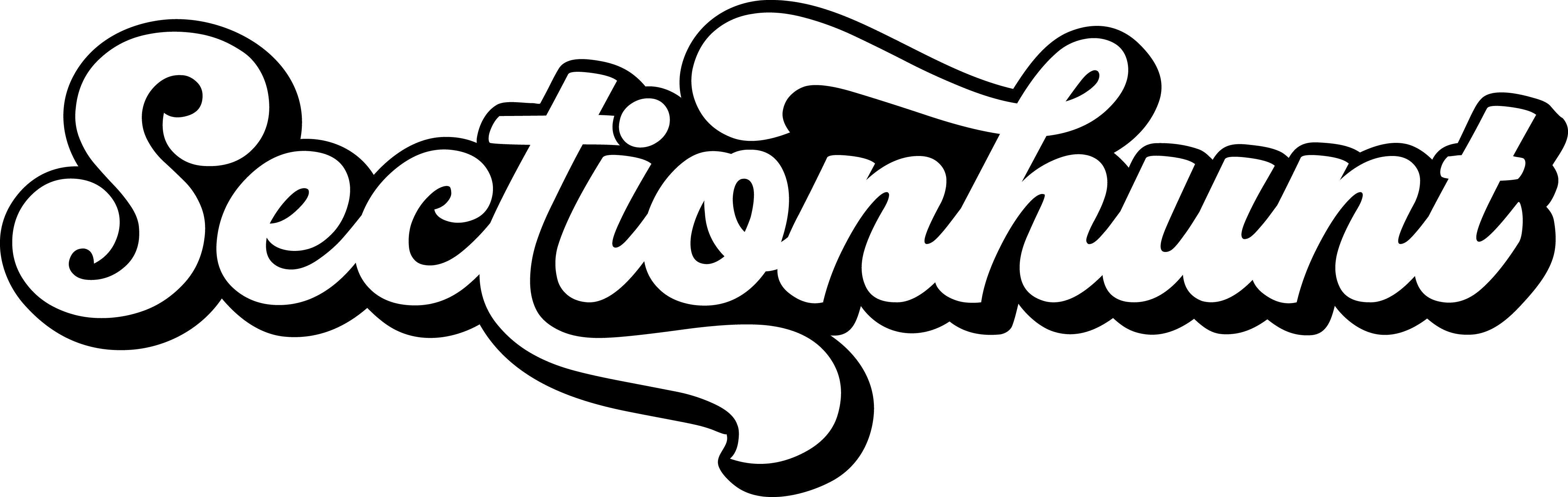 Read SECTIONHUNT Reviews